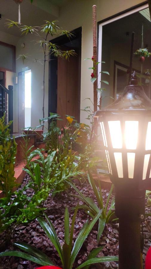 Entire Craftsman House With 2 Bedrooms Kitchen And More Rāipur Zewnętrze zdjęcie
